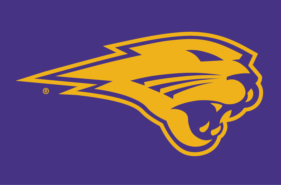 Northern Iowa Panthers 2002-2014 Partial Logo 02 iron on paper